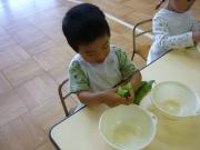 ���T���̒����ۈ�i�󓤁j