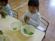 ���T���̒����ۈ�i�󓤁j