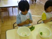 ���T���̒����ۈ�i�󓤁j