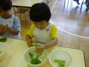 ���T���̒����ۈ�i�󓤁j