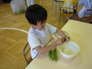 ���T���̒����ۈ�i�󓤁j