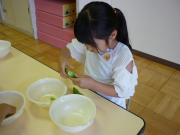 ���T���̒����ۈ�i�󓤁j