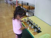 ���V���̊��o�ۈ�